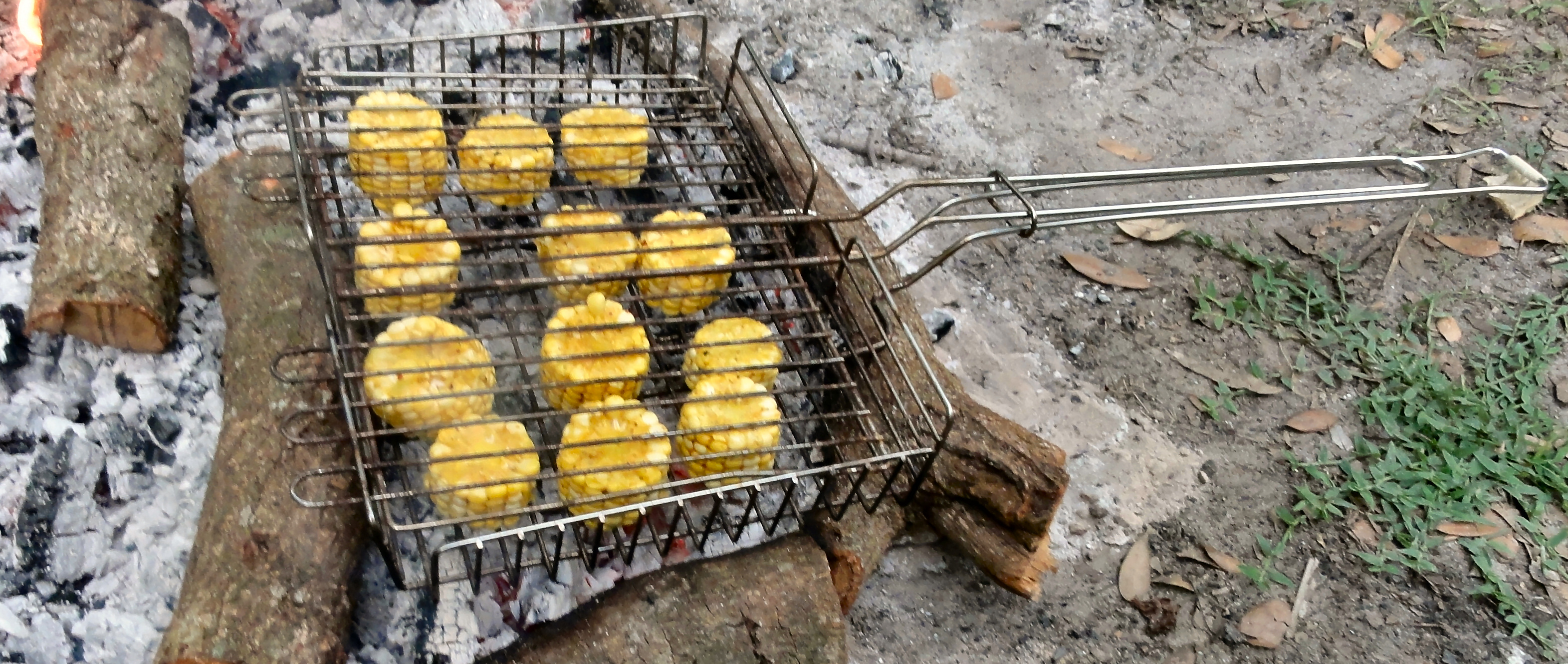 Roast Over a Campfire